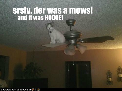 srsly, der was a mows!
