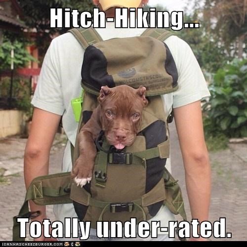 Hitch-Hiking...  Totally under-rated.