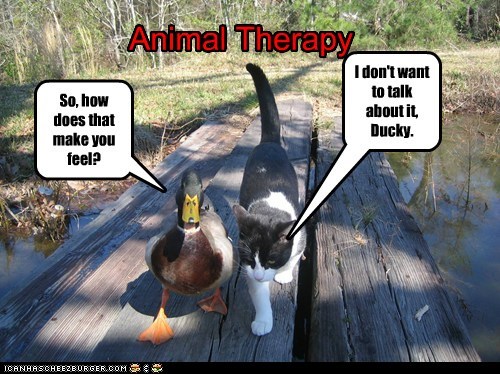 Then the Cat Saw the Bill and Decided to Eat his Therapist Instead