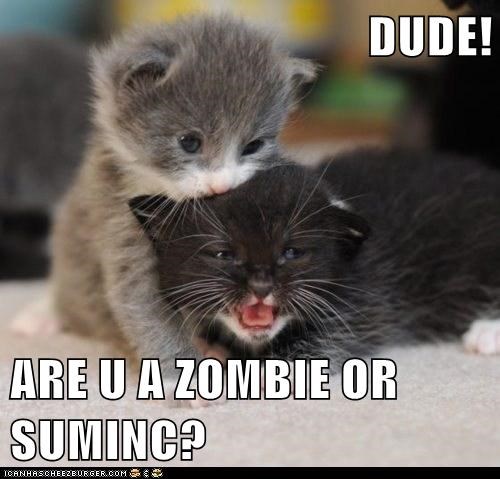 DUDE!  ARE U A ZOMBIE OR SUMINC?