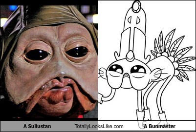 A Sullustan Totally Looks Like A Bunmaster