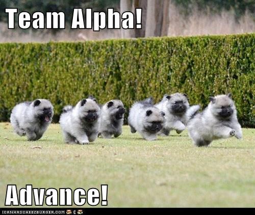 Team Alpha!   Advance!