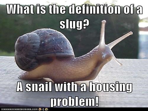 What is the definition of a slug?  A snail with a housing problem!