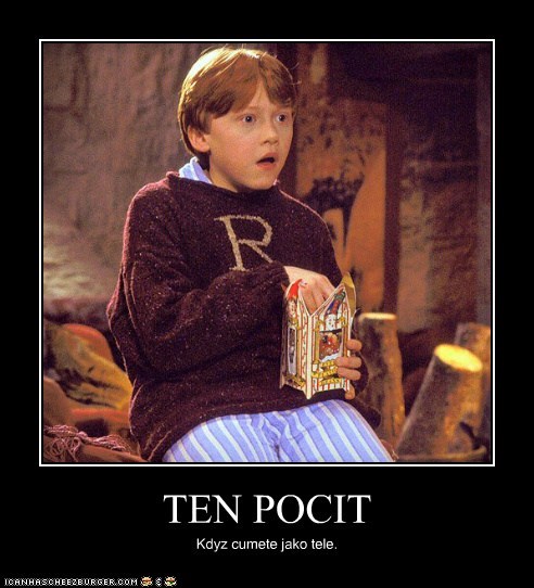 TEN POCIT