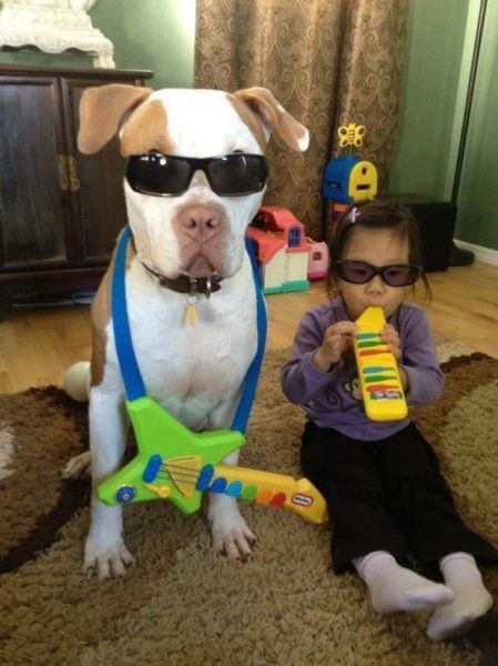 We're Starting a Band