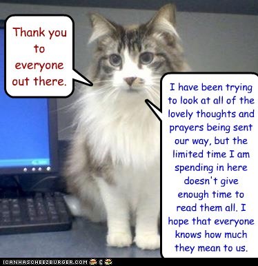 To all from NawtyKitty