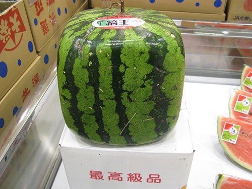 Watermelons for Squares