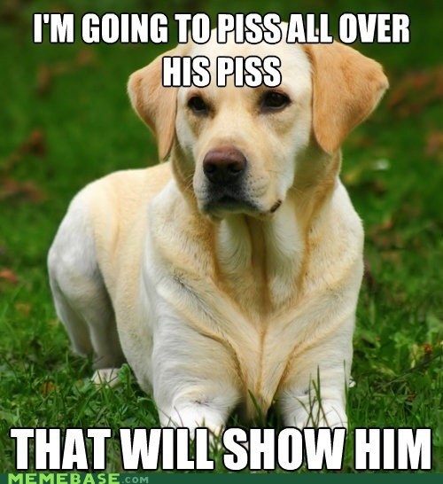 Pee Boss