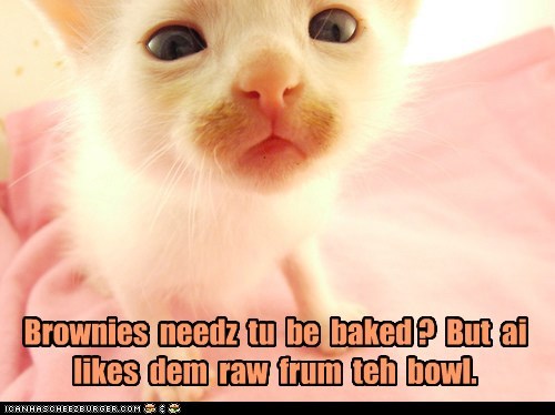Brownies  needz  tu  be  baked ?  But  ai  likes  dem  raw  frum  teh  bowl.
