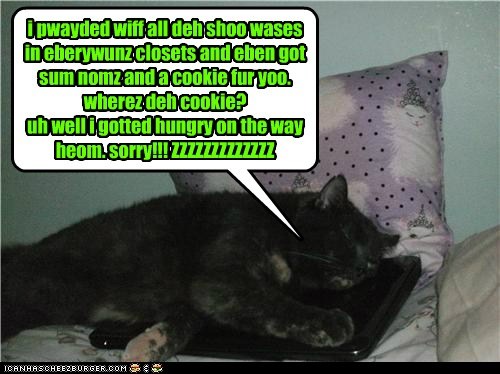 i pwayded wiff all deh shoo wases in eberywunz closets and eben got sum nomz and a cookie fur yoo. wherez deh cookie?  uh well i gotted hungry on the way heom. sorry!!! ZZZZZZZZZZZZZ