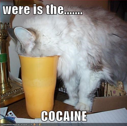 were is the.......  COCAINE