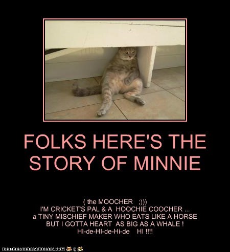 FOLKS HERE'S THE STORY OF MINNIE