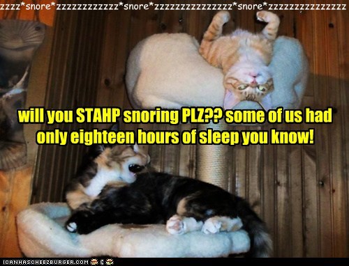 will you STAHP snoring PLZ?? some of us had only eighteen hours of sleep you know!