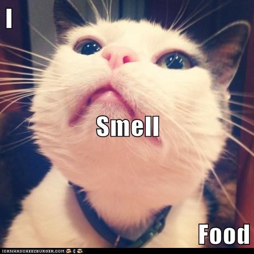 I Smell Food