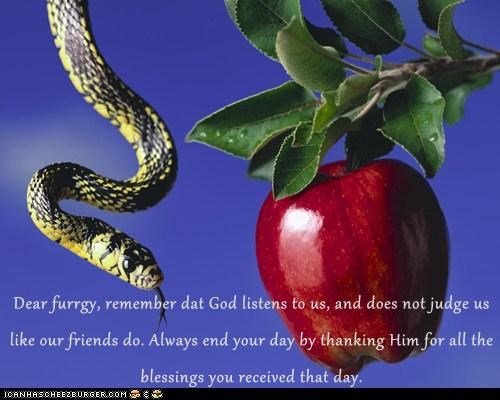 Dear furrgy, remember dat God listens to us, and does not judge us like our friends do. Always end your day by thanking Him for all the blessings you received that day.