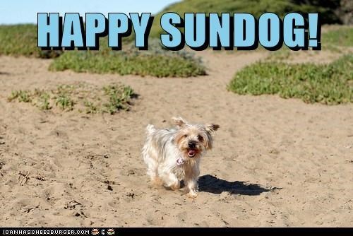 Happy Sundog! 
