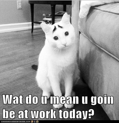 Wat do u mean u goin  be at work today?