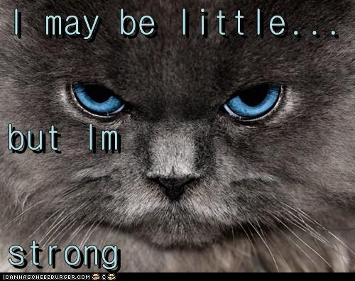 I may be little... but Im strong