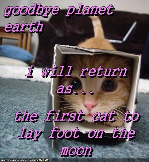 goodbye planet earth i will return as... the first cat to lay foot on the moon