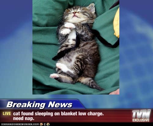 Breaking News - cat found sleeping on blanket low charge. need nap.