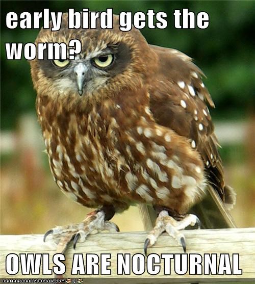 The Earliest Bird