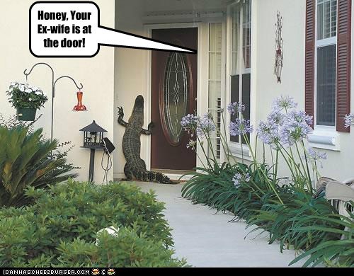 Honey, Your Ex-wife is at the door!