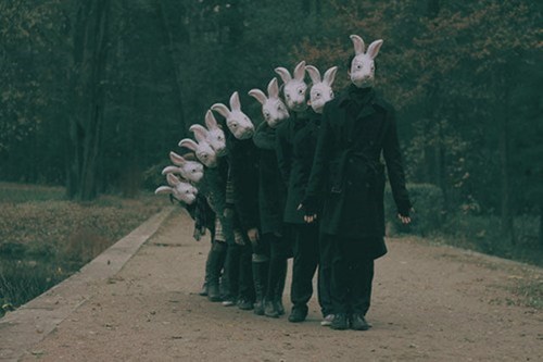 The Bunny Brigade Wants YOU!