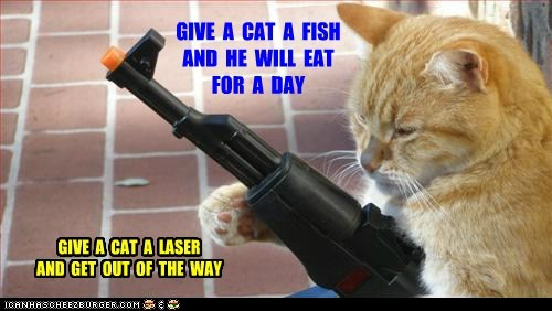 GIVE  A  CAT  A  FISH AND  HE  WILL  EAT FOR  A  DAY