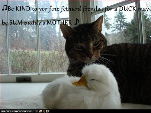 ♫Be KIND to yor fine fethurd frends.. for a DUCK may be SUM buddy's MOTHER♪..