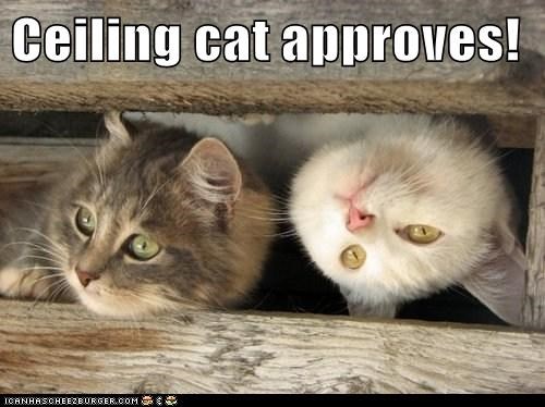 Ceiling cat approves!