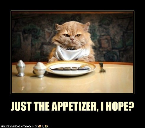 JUST THE APPETIZER, I HOPE?