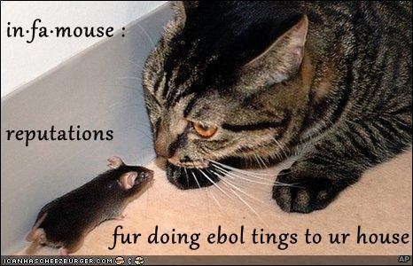 in·fa·mouse : reputations fur doing ebol tings to ur house