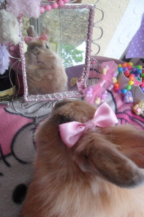 Who's a Pretty Princess?