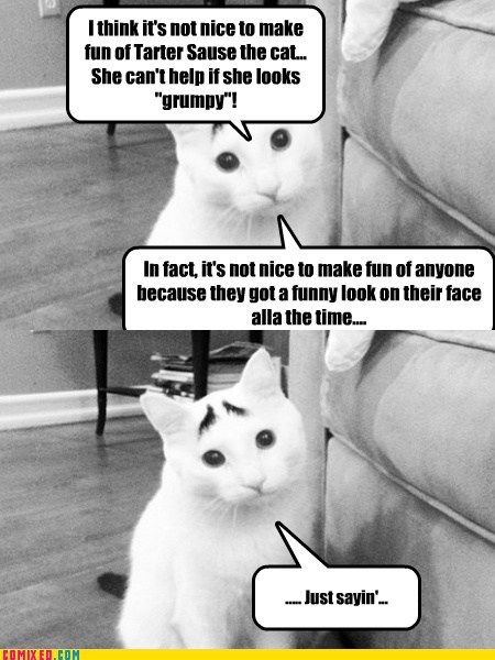 Quizical Cat Speaks