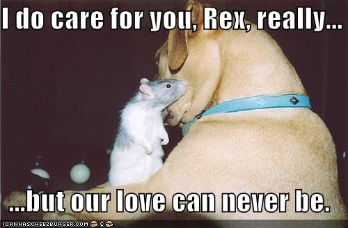 I do care for you, Rex, really...  ...but our love can never be.