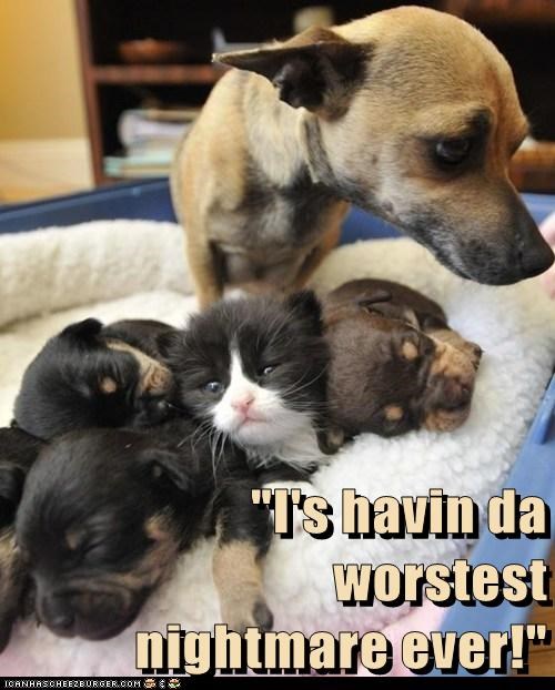 "I's havin da                                                     worstest                                                     nightmare ever!"