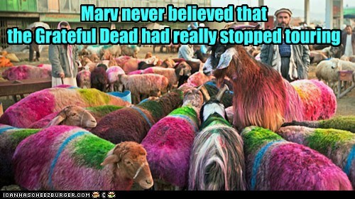 So He Journeyed On, Looking for a Concert That Never Came