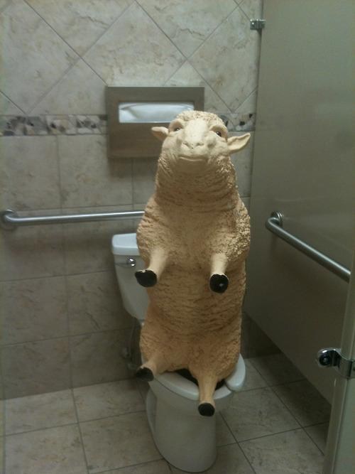 The Baaaaaathroom 