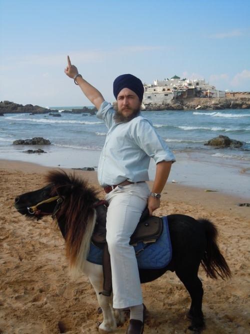 Onward, Faithful Steed!