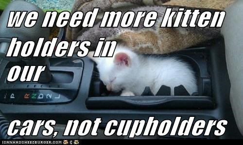 we need more kitten holders in our cars, not cupholders