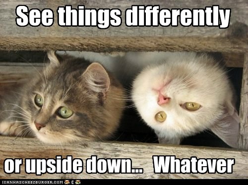 See things differently