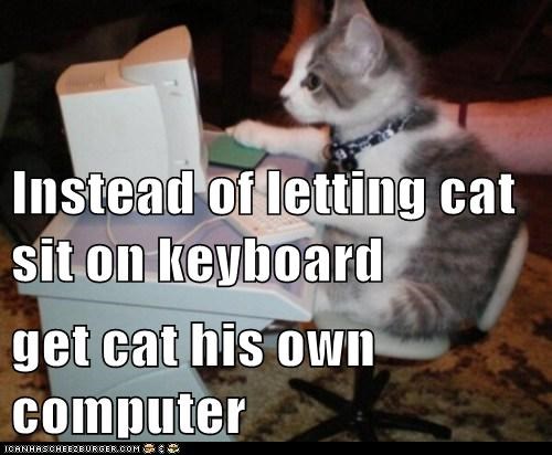 Instead of letting cat sit on keyboard get cat his own computer