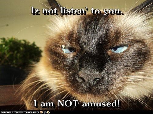 Iz not listen' to you.  I am NOT amused!