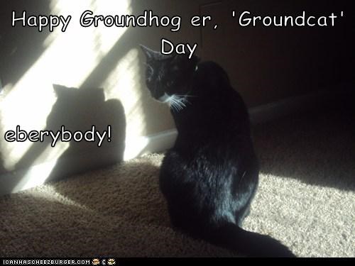 Happy Groundhog er, 'Groundcat' Day eberybody!