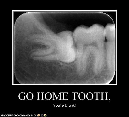 GO HOME TOOTH,