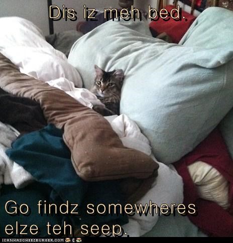 Dis iz meh bed.  Go findz somewheres elze teh seep.