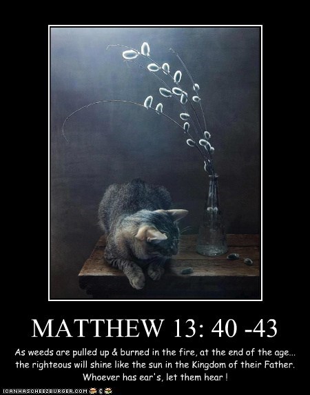 MATTHEW 13: 40 -43
