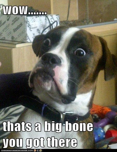 wow.......  thats a big bone you got there