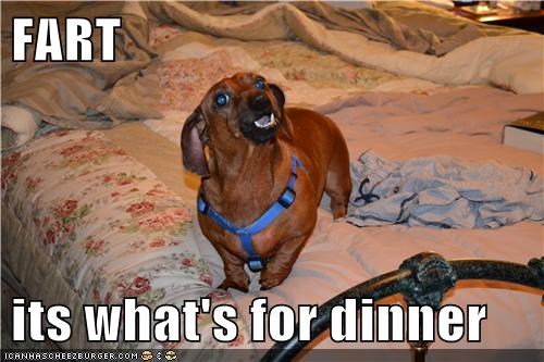 FART  its what's for dinner