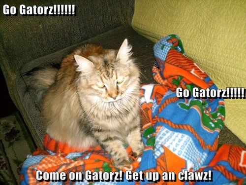 Go Gatorz!!!!!! Go Gatorz!!!!! Come on Gatorz! Get up an clawz!
